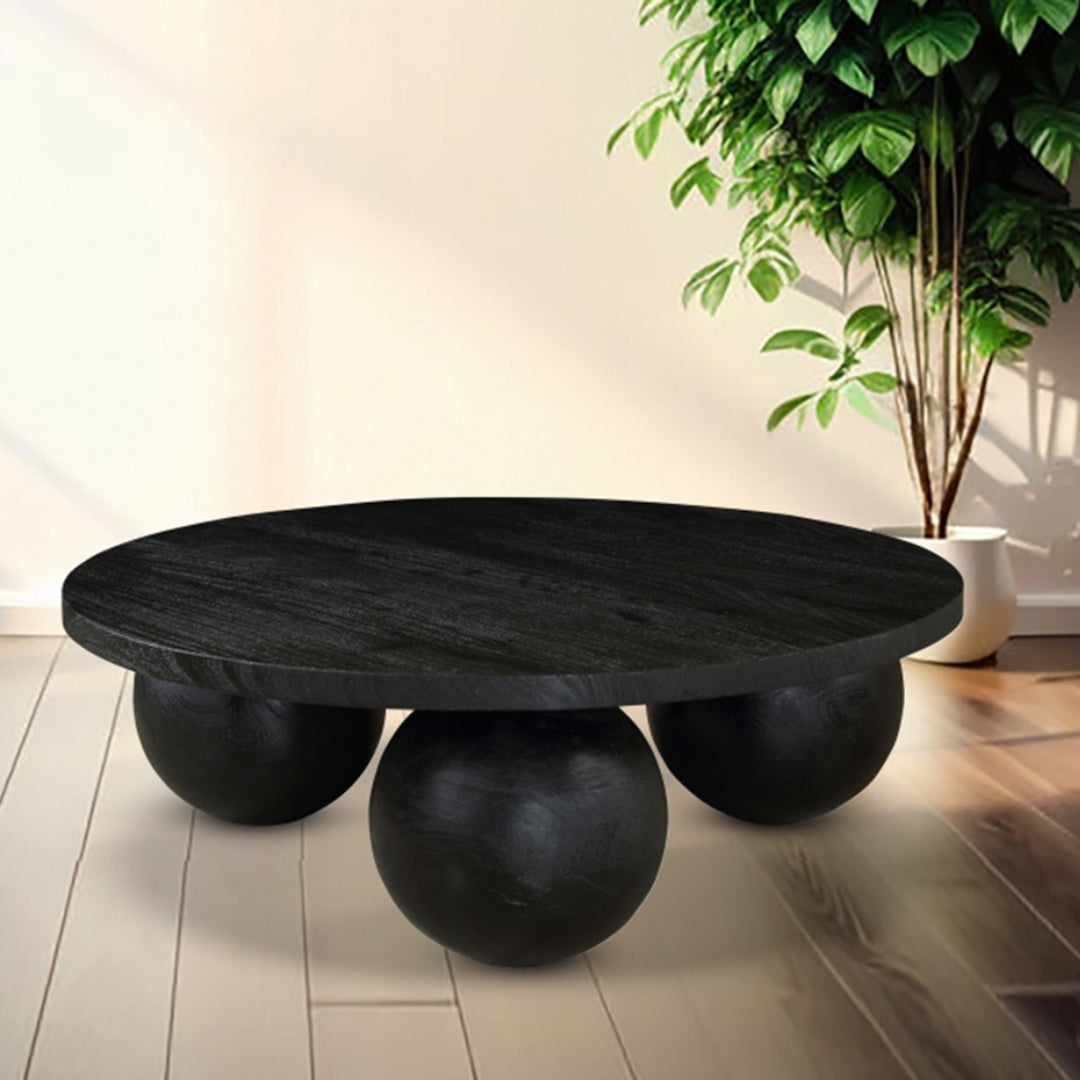 Jerrin Solid Ash Wood Round Coffee Table 1